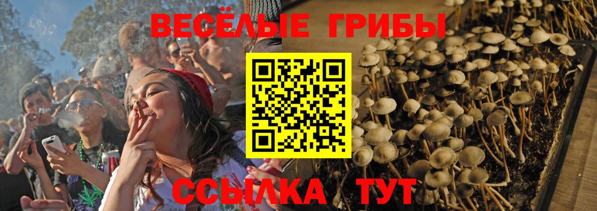Псилоцибиновые грибы Magic Shrooms  Псилоцибиновые грибы MAGIC MUSHROOMS  Ангарск  Вход с VPN 